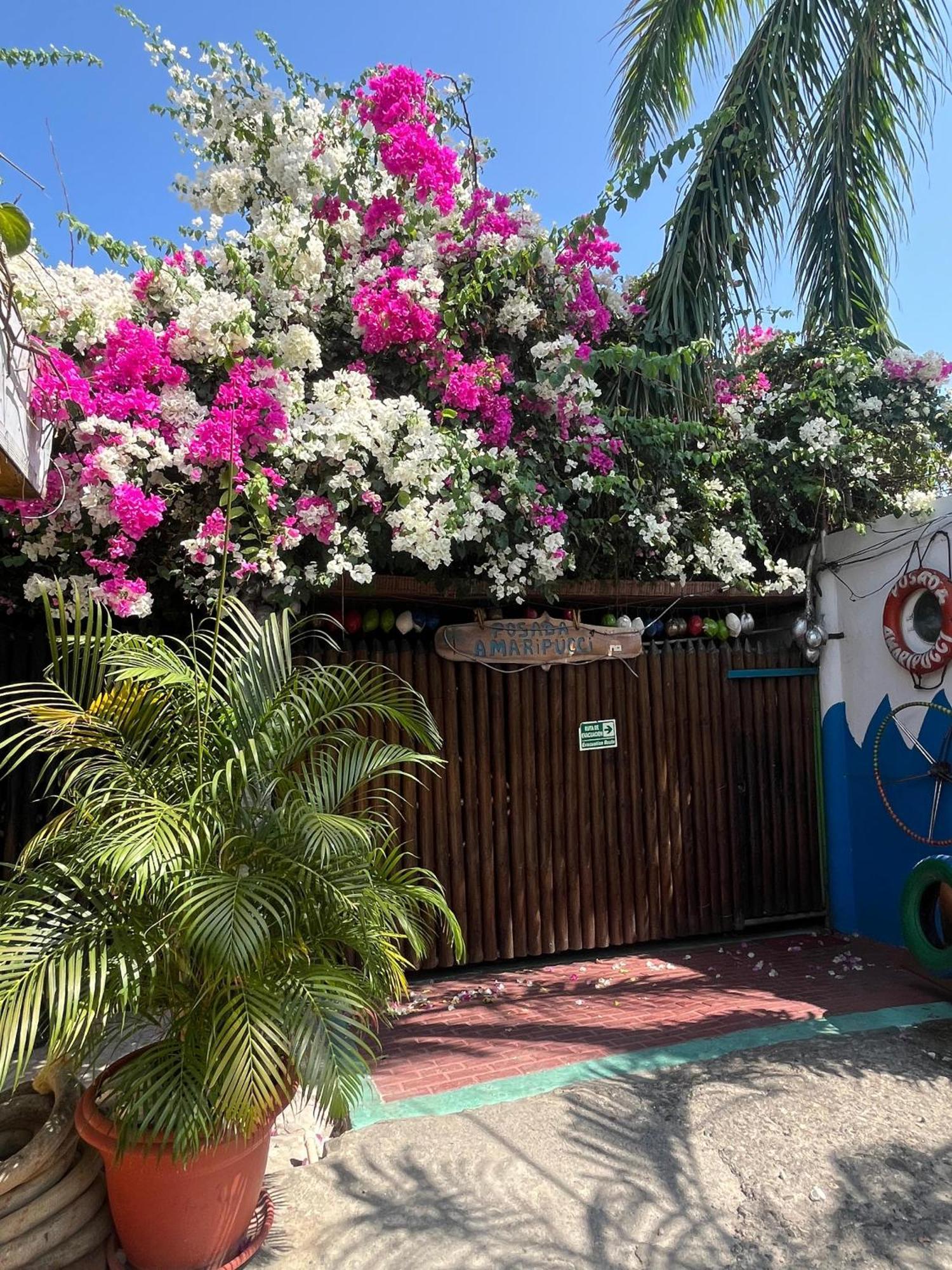 Posada Amaripucci San Andrés Kültér fotó