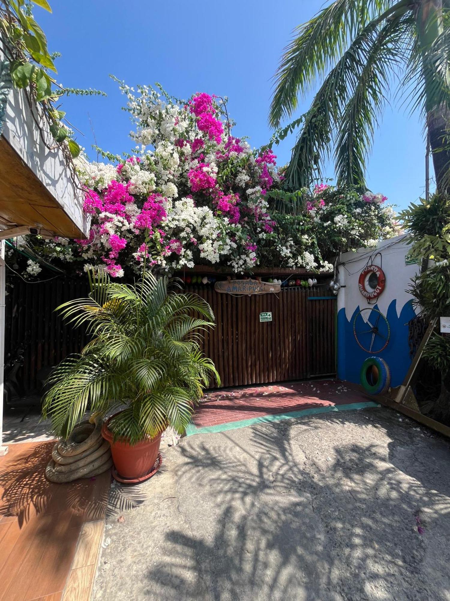 Posada Amaripucci San Andrés Kültér fotó